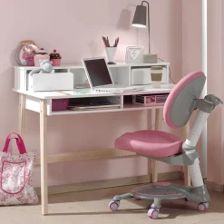 Bureau blanc laqué - Terre de Nuit