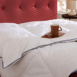 Couette prestige hôtellerie duvet de canard Someo