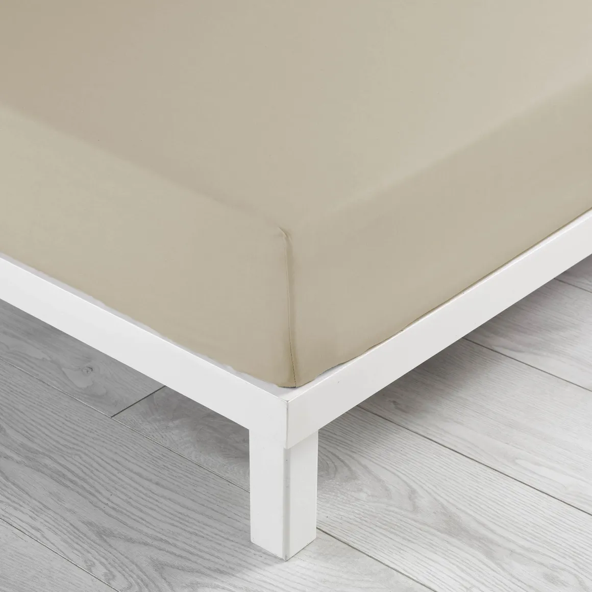 Drap housse coton Douceur d'Intérieur Linette