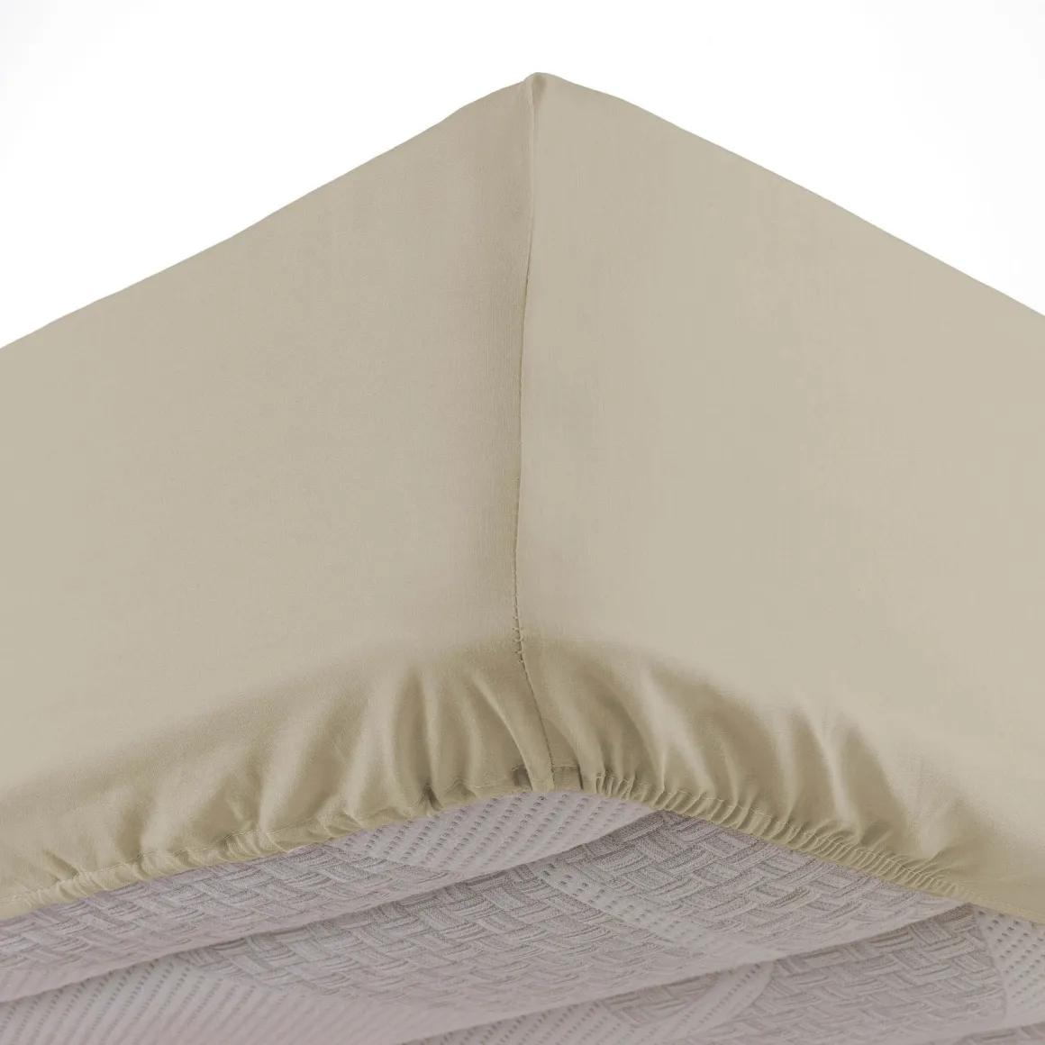 Drap housse coton Douceur d'Intérieur Linette