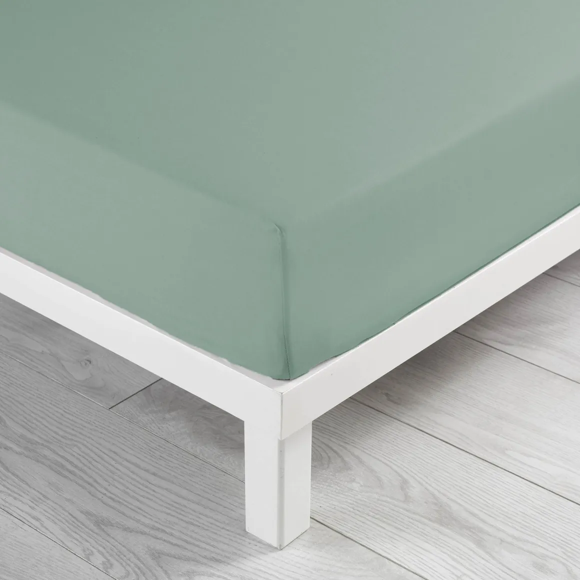 Drap housse coton Douceur d'Intérieur Linette