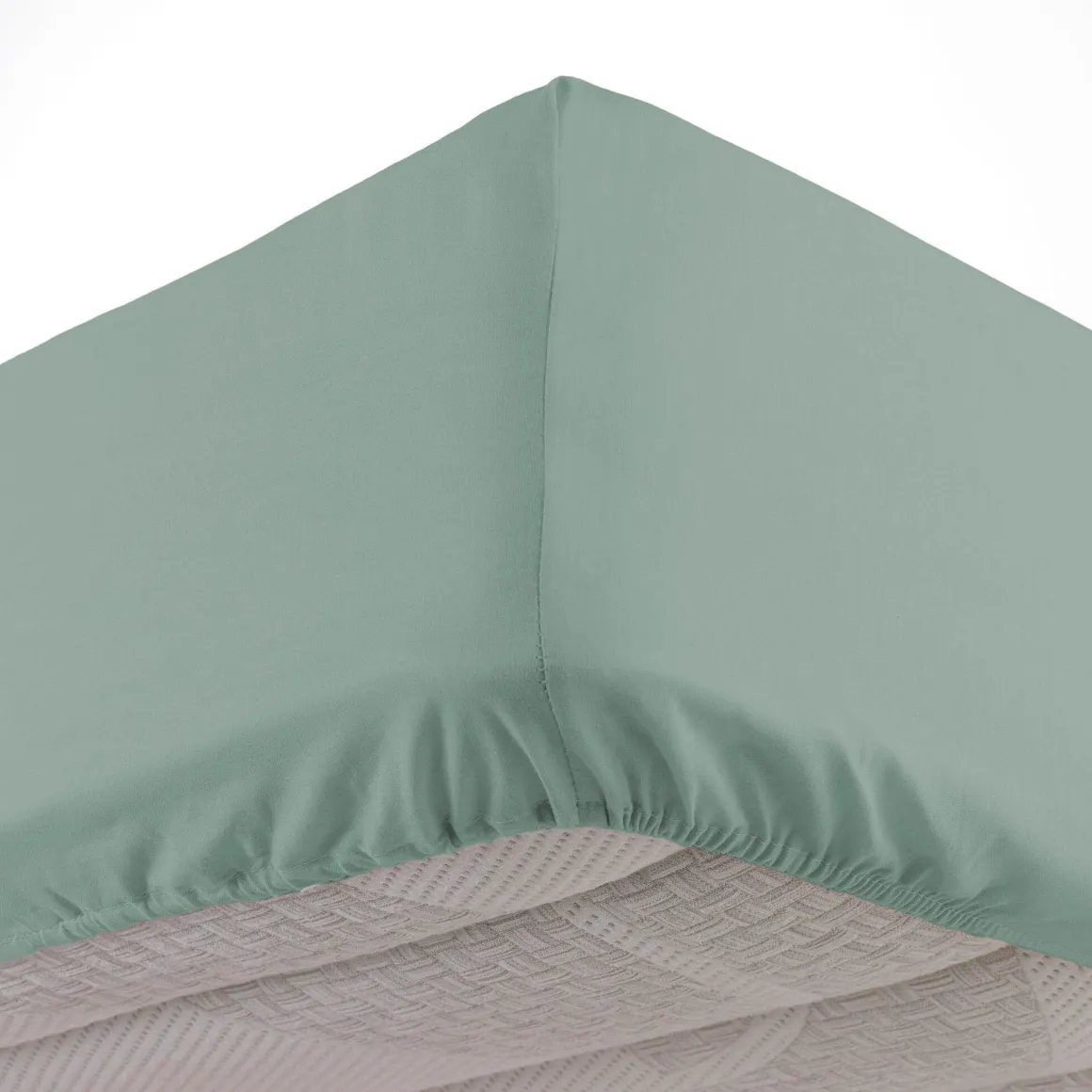 Drap housse coton Douceur d'Intérieur Linette