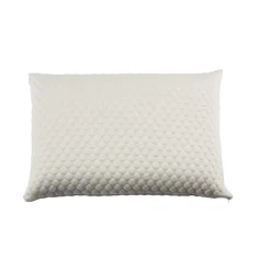 Lot de 2 oreillers latex et housses de protection Someo 40x60