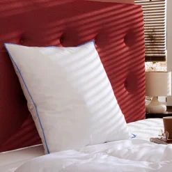 Lot de 2 oreillers moelleux duvet de canard anti-allergènes Someo