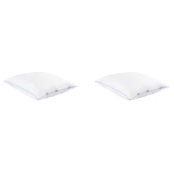Lot de 2 oreillers moelleux duvet de canard anti-allergènes Someo