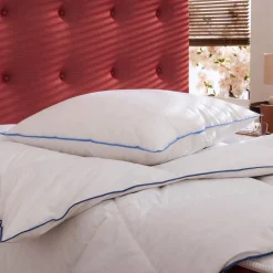 Lot de 2 oreillers moelleux/ferme duvet de canard anti-allergènes Someo