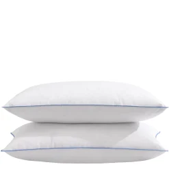 Lot de 2 oreillers moelleux/ferme duvet de canard anti-allergènes Someo