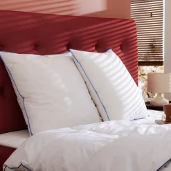 Lot de 2 oreillers moelleux/ferme duvet de canard anti-allergènes Someo