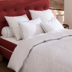 Lot de 2 oreillers moelleux/ferme duvet de canard anti-allergènes Someo