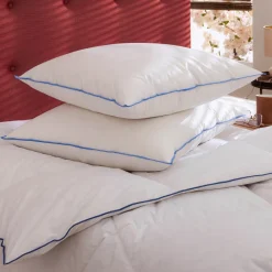 Lot de 2 oreillers moelleux/ferme duvet de canard anti-allergènes Someo