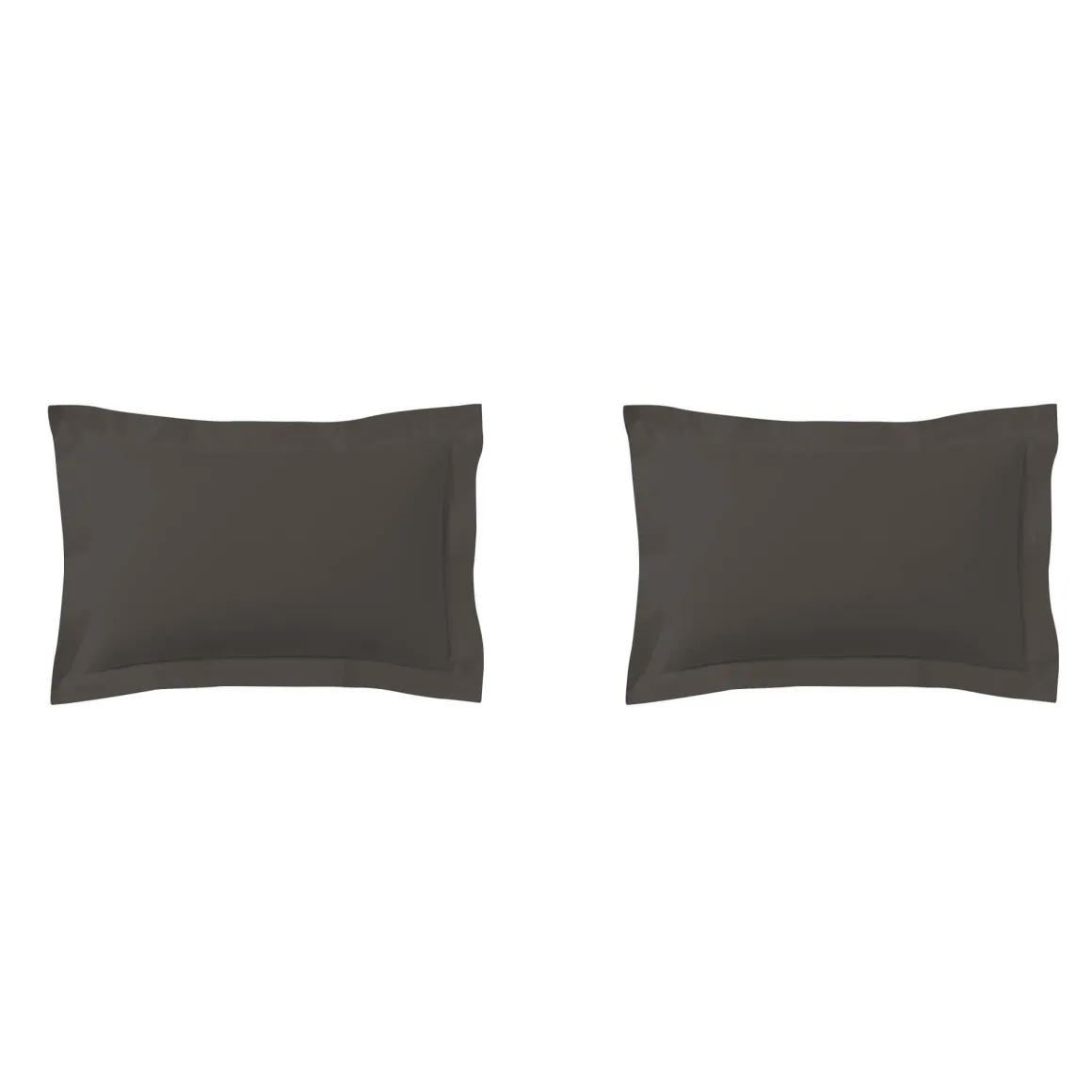 Lot de 2 taies d'oreillers zinc 100% coton