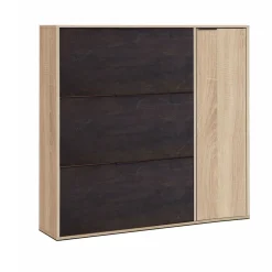 Meuble à chaussures avec 4 portes