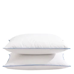 Oreiller moelleux duvet de canard anti-allergènes Someo