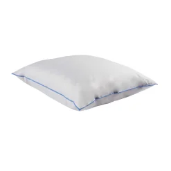 Pack oreiller et traversin moelleux duvet de canard anti-allergènes Someo